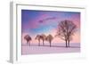 Trees in the Winter Wind-Philippe Sainte-Laudy-Framed Photographic Print