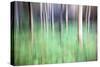 Trees in Woodland Abstract-Mark Sunderland-Stretched Canvas