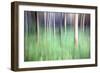 Trees in Woodland Abstract-Mark Sunderland-Framed Photographic Print