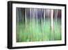 Trees in Woodland Abstract-Mark Sunderland-Framed Photographic Print