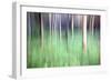 Trees in Woodland Abstract-Mark Sunderland-Framed Photographic Print