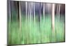 Trees in Woodland Abstract-Mark Sunderland-Mounted Photographic Print