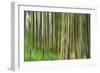 Trees, Isle of Arran, Firth of Clyde, Scotland, UK-Nadia Isakova-Framed Photographic Print