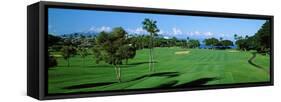 Trees , Kaanapali Golf Course, Maui, Hawaii, USA-null-Framed Stretched Canvas