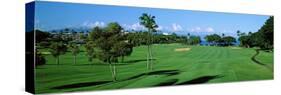 Trees , Kaanapali Golf Course, Maui, Hawaii, USA-null-Stretched Canvas