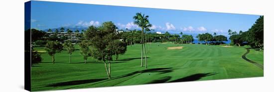 Trees , Kaanapali Golf Course, Maui, Hawaii, USA-null-Stretched Canvas