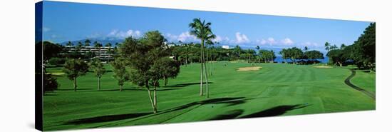 Trees , Kaanapali Golf Course, Maui, Hawaii, USA-null-Stretched Canvas