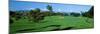 Trees , Kaanapali Golf Course, Maui, Hawaii, USA-null-Mounted Premium Photographic Print