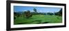 Trees , Kaanapali Golf Course, Maui, Hawaii, USA-null-Framed Photographic Print