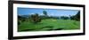 Trees , Kaanapali Golf Course, Maui, Hawaii, USA-null-Framed Photographic Print