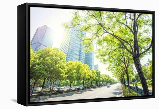 Trees Lining the Streets in Jianggan New Town, Zhejiang, China-Andy Brandl-Framed Stretched Canvas