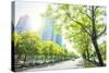 Trees Lining the Streets in Jianggan New Town, Zhejiang, China-Andy Brandl-Stretched Canvas