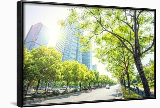 Trees Lining the Streets in Jianggan New Town, Zhejiang, China-Andy Brandl-Framed Photographic Print