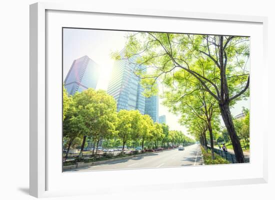 Trees Lining the Streets in Jianggan New Town, Zhejiang, China-Andy Brandl-Framed Photographic Print