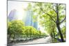 Trees Lining the Streets in Jianggan New Town, Zhejiang, China-Andy Brandl-Mounted Photographic Print