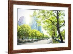 Trees Lining the Streets in Jianggan New Town, Zhejiang, China-Andy Brandl-Framed Photographic Print