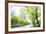 Trees Lining the Streets in Jianggan New Town, Zhejiang, China-Andy Brandl-Framed Photographic Print