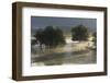 Trees, Mainly White Willow in Flooded Karst Plateau, Livanjsko Polje, Bosnia and Herzegovina, May-della Ferrera-Framed Photographic Print