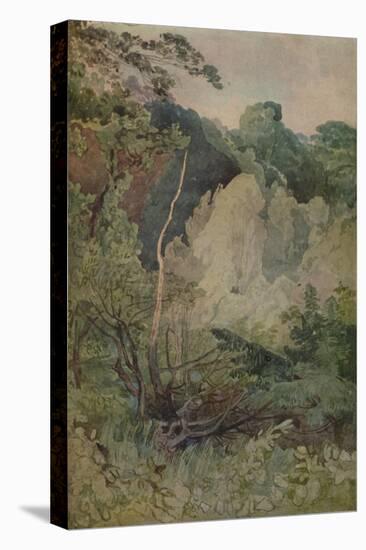 'Trees Near The Greta River', 1923-John Sell Cotman-Stretched Canvas
