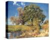 Trees near Water-Eugen Bracht-Stretched Canvas