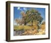 Trees near Water-Eugen Bracht-Framed Art Print