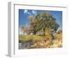 Trees near Water-Eugen Bracht-Framed Art Print