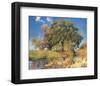 Trees near Water-Eugen Bracht-Framed Art Print