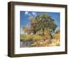 Trees near Water-Eugen Bracht-Framed Art Print