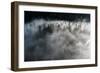 Trees of forest hidden by morning fog at dawn, Dolomites, Italy, Europe-Roberto Moiola-Framed Photographic Print