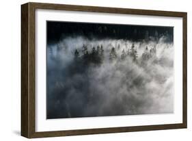 Trees of forest hidden by morning fog at dawn, Dolomites, Italy, Europe-Roberto Moiola-Framed Photographic Print