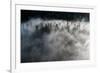 Trees of forest hidden by morning fog at dawn, Dolomites, Italy, Europe-Roberto Moiola-Framed Photographic Print