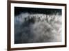 Trees of forest hidden by morning fog at dawn, Dolomites, Italy, Europe-Roberto Moiola-Framed Photographic Print