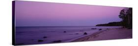 Trees on a Beach, Union Bay, Lake Superior, Upper Peninsula, Silver City, Michigan, USA-null-Stretched Canvas