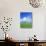 Trees on a Cornfield, Hartsfeld, Swabian Alb, Baden Wurttemberg, Germany, Europe-Markus Lange-Stretched Canvas displayed on a wall