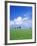 Trees on a Cornfield, Hartsfeld, Swabian Alb, Baden Wurttemberg, Germany, Europe-Markus Lange-Framed Photographic Print