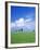 Trees on a Cornfield, Hartsfeld, Swabian Alb, Baden Wurttemberg, Germany, Europe-Markus Lange-Framed Photographic Print