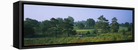 Trees on a Golf Course, Des Moines Golf and Country Club, Des Moines, Iowa, USA-null-Framed Stretched Canvas