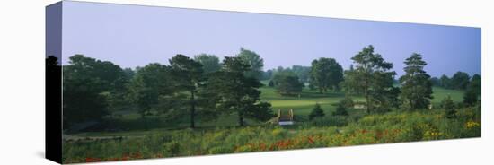 Trees on a Golf Course, Des Moines Golf and Country Club, Des Moines, Iowa, USA-null-Stretched Canvas