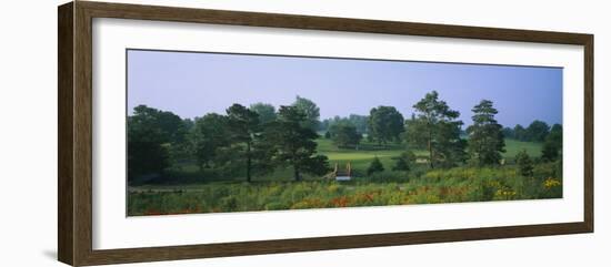 Trees on a Golf Course, Des Moines Golf and Country Club, Des Moines, Iowa, USA-null-Framed Photographic Print