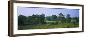 Trees on a Golf Course, Des Moines Golf and Country Club, Des Moines, Iowa, USA-null-Framed Photographic Print