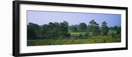 Trees on a Golf Course, Des Moines Golf and Country Club, Des Moines, Iowa, USA-null-Framed Photographic Print