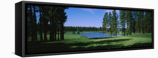 Trees on a Golf Course, Edgewood Tahoe Golf Course, Stateline, Nevada, USA-null-Framed Stretched Canvas