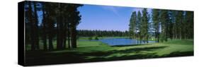 Trees on a Golf Course, Edgewood Tahoe Golf Course, Stateline, Nevada, USA-null-Stretched Canvas