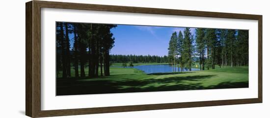 Trees on a Golf Course, Edgewood Tahoe Golf Course, Stateline, Nevada, USA-null-Framed Photographic Print