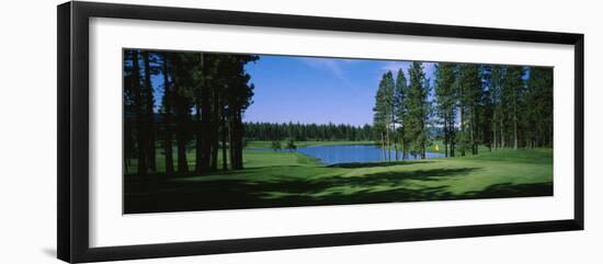 Trees on a Golf Course, Edgewood Tahoe Golf Course, Stateline, Nevada, USA-null-Framed Photographic Print