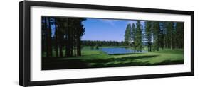 Trees on a Golf Course, Edgewood Tahoe Golf Course, Stateline, Nevada, USA-null-Framed Photographic Print