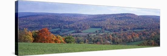 Trees on a Hill, Adams, Berkshire County, Massachusetts, USA-null-Stretched Canvas