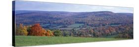 Trees on a Hill, Adams, Berkshire County, Massachusetts, USA-null-Stretched Canvas