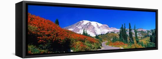 Trees on a Hill, Mt Rainier, Mount Rainier National Park, Pierce County, Washington State, USA-null-Framed Stretched Canvas