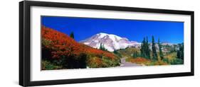 Trees on a Hill, Mt Rainier, Mount Rainier National Park, Pierce County, Washington State, USA-null-Framed Photographic Print